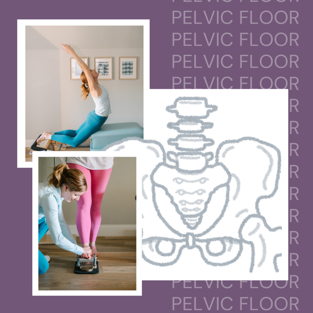 The Role of the Pelvic Floor in Pilates for Internal Health